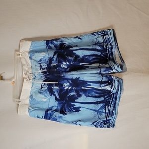 Joe Boxer Swim Trunks